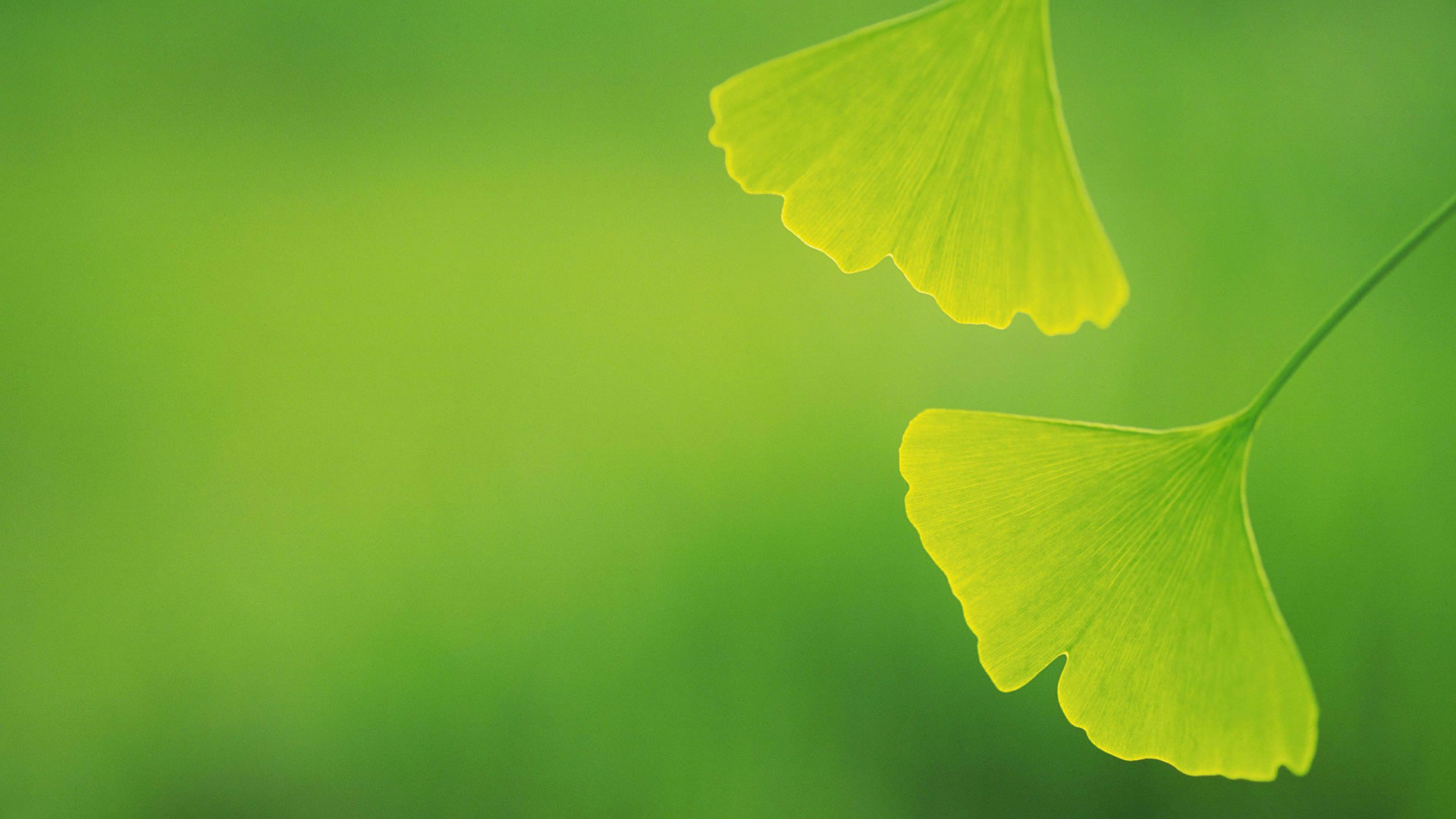 泰安市天正檢測(cè)中心有限公司